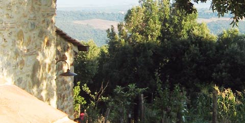 La Collina dei Lecci is a traditional Tuscan stone house