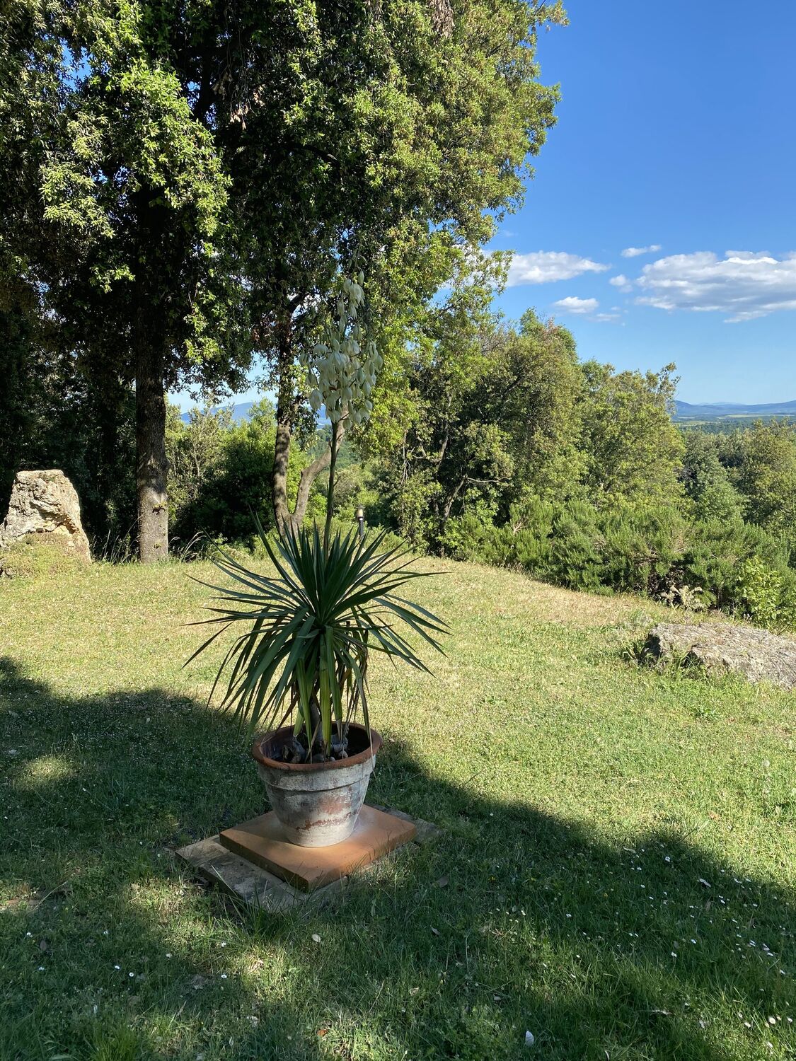 Il casale in pietra di La Collina dei Lecci circondato da lecci centenari, con tetto in cotto e persiane verdi