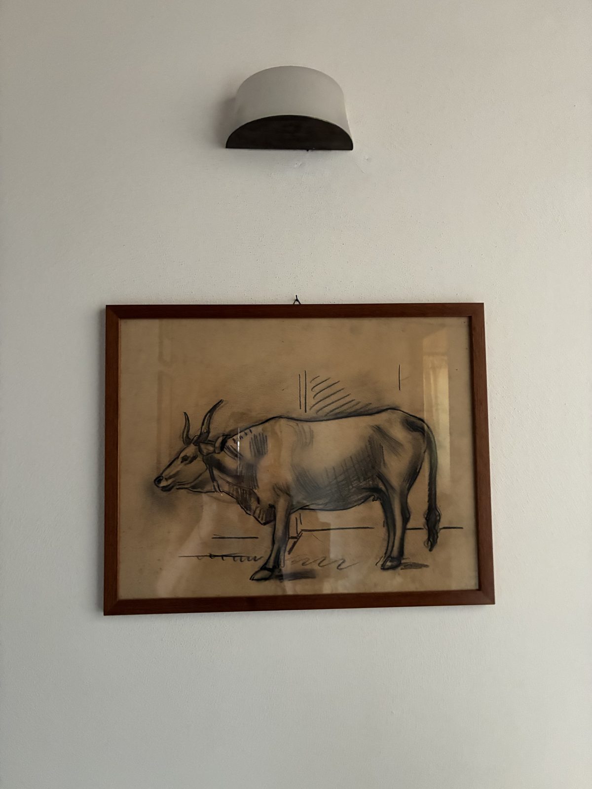 Lo Spigo Camera 2