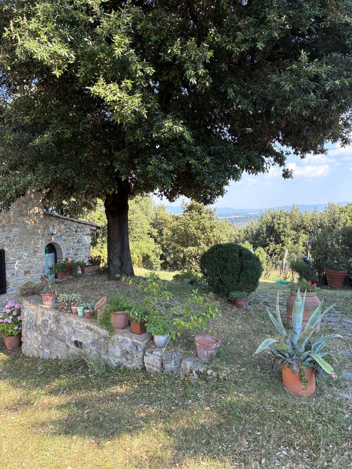 La Collina dei Lecci — foto 6