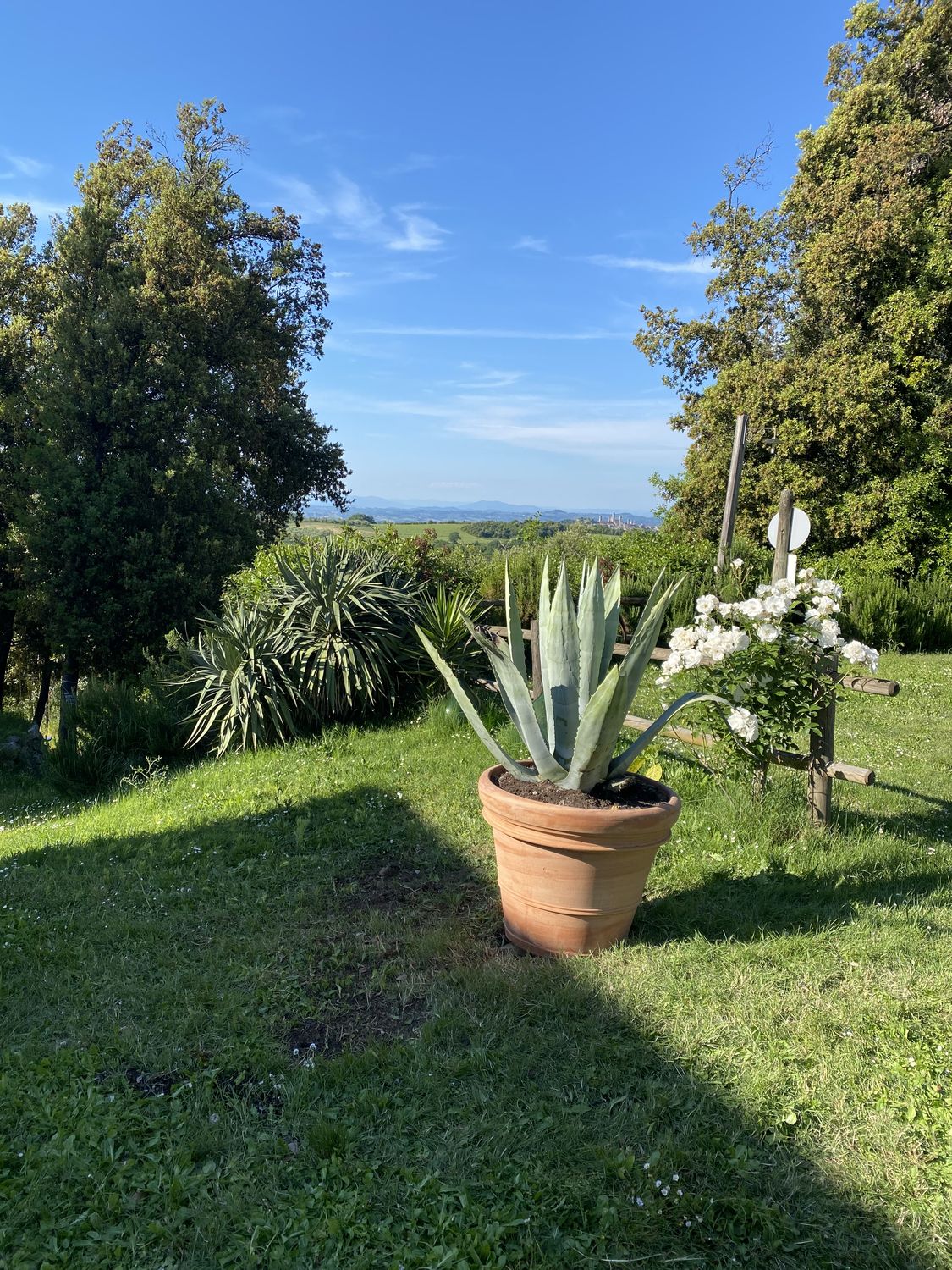 La Collina dei Lecci — foto 7