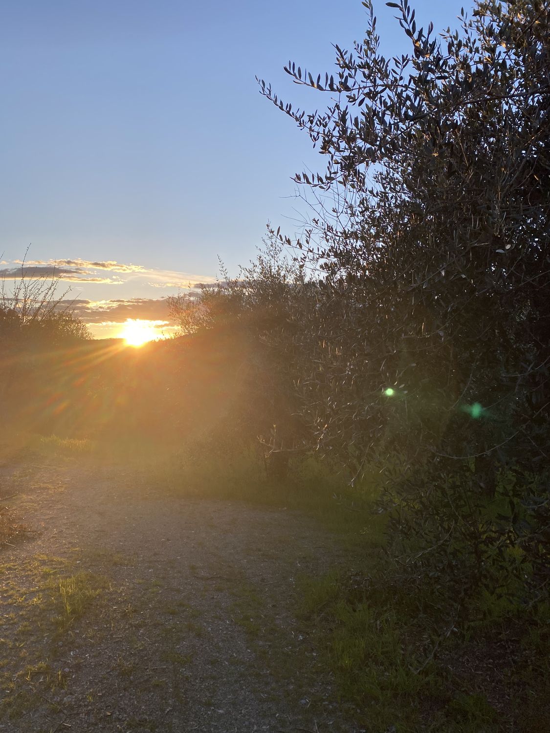 La Collina dei Lecci — foto 13
