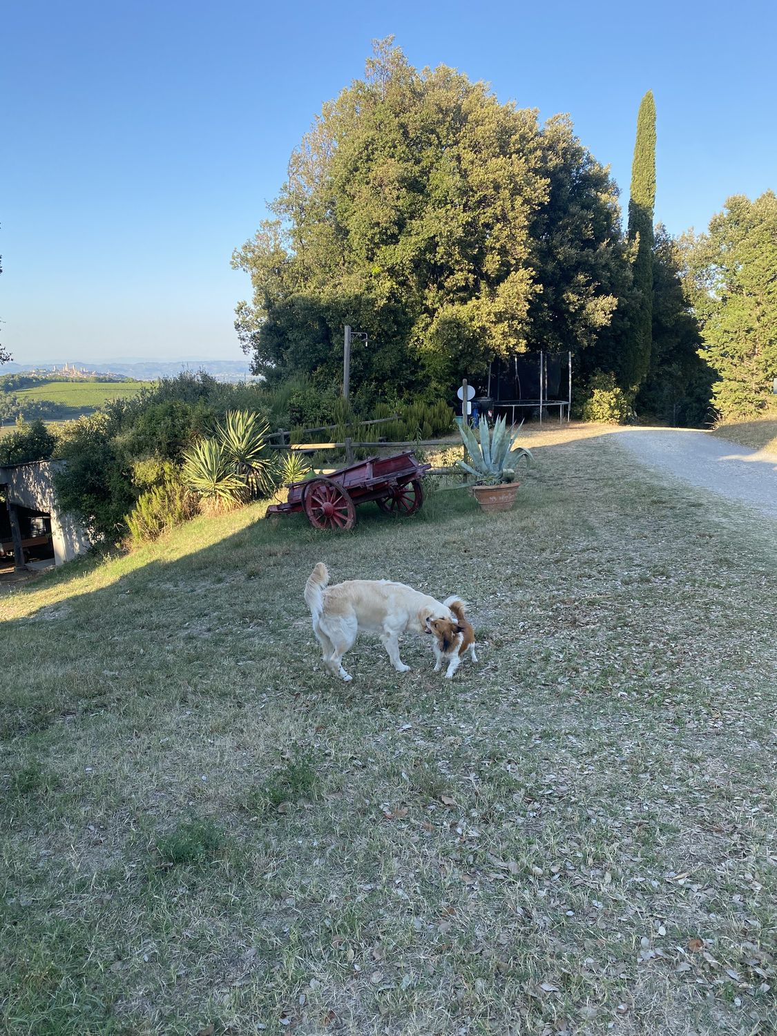 La Collina dei Lecci — foto 14
